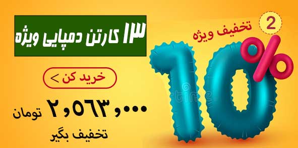 خرید 13 کارتن دمپایی | 2.563.000 تومان سود بیشتر ببر