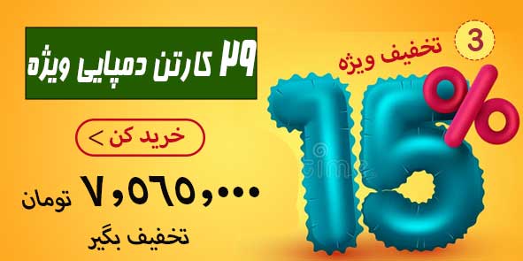 15 of 2f خرید 29 کارتن دمپایی | 7.565.000 تومان سود بیشتر ببر