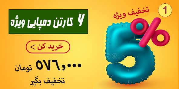 با خرید 6 کارتن دمپایی | 576 هزار تومان سود بیشتر ببر