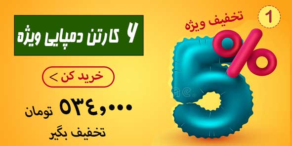 5 off خرید 6 کارتن دمپایی | 534 هزار تومان سود بیشتر ببر