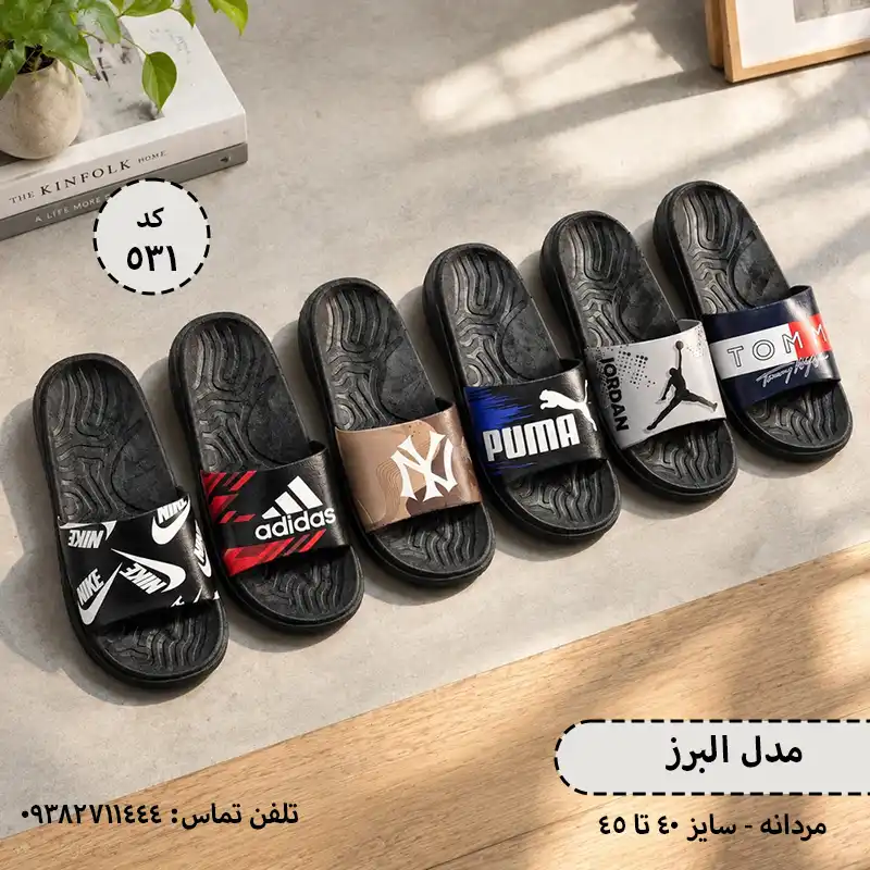 531 01 عمده - دمپایی مردانه البرز - الوان میکس - سایز 40-45 - کد 531